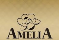 Салон Amelia Салон Amelia